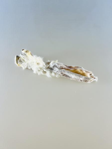 Kaninchenohr mit Fell